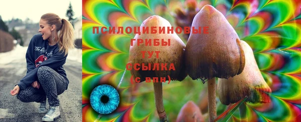 твердый Вязьма